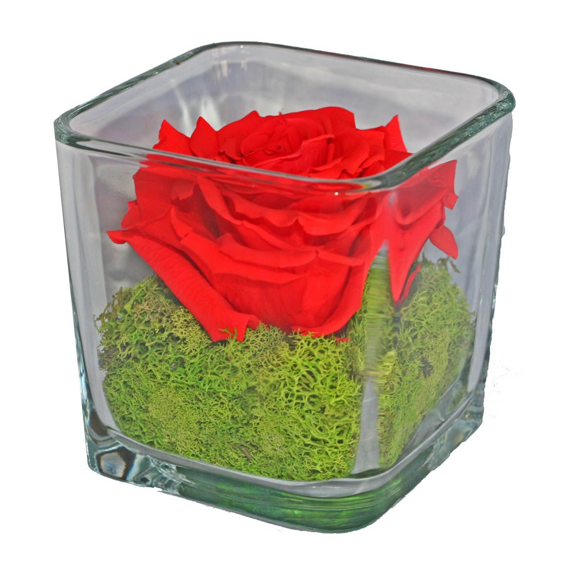 Single Rose Cubes, Set of 4